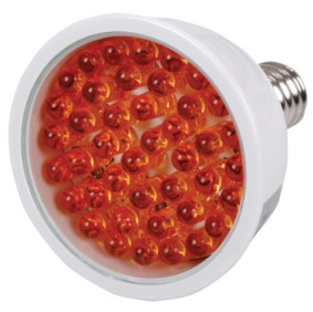 Ampoule LED blanc chaud - E14 - 230Vca - 42 LEDs, cliquez pour agrandir 
